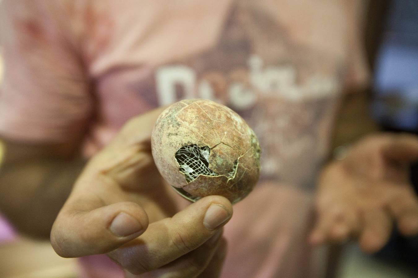 Yacimiento arqueológico de Pintia en Padilla de Duero (Valladolid)