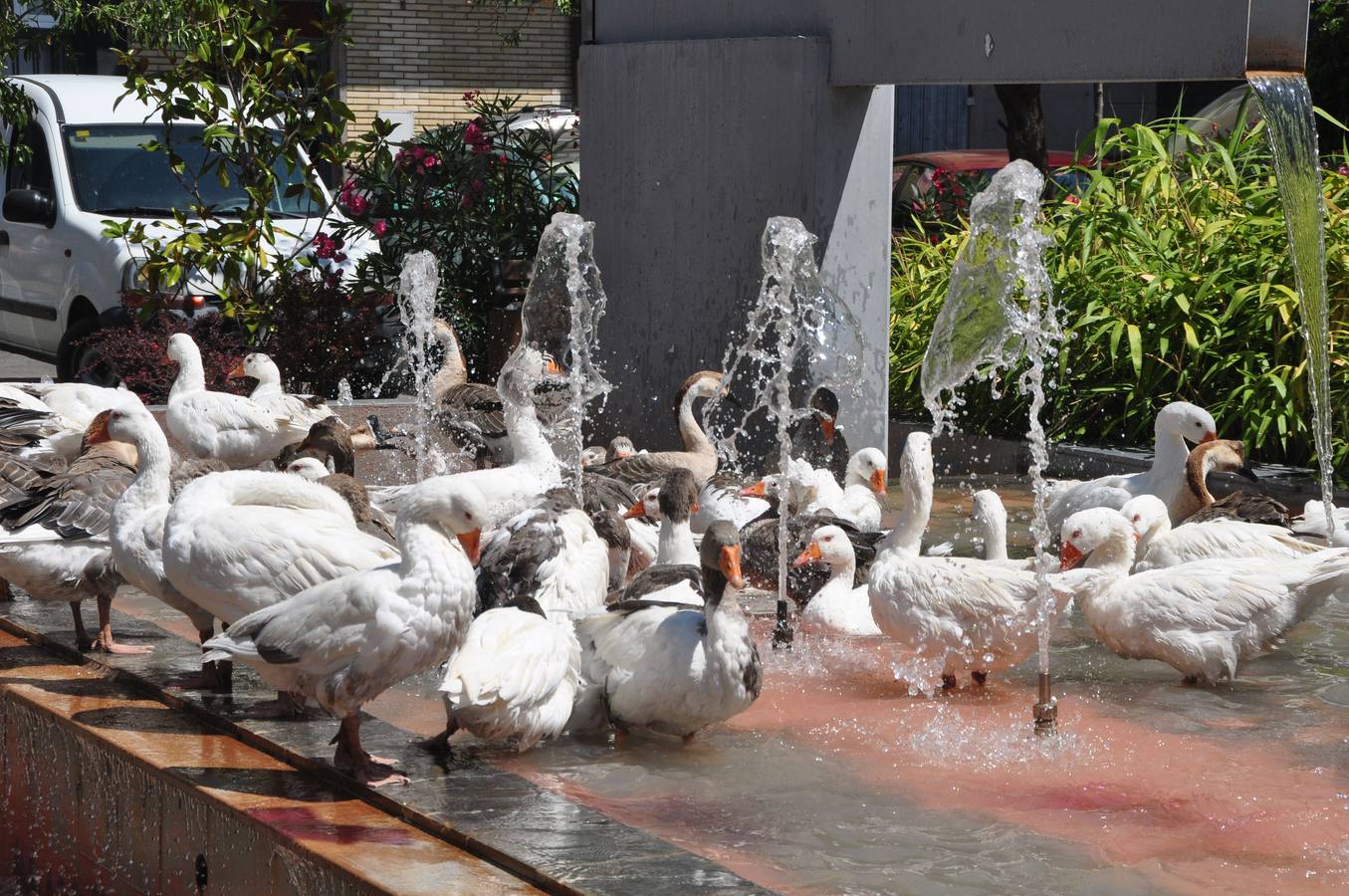 Jornada del viernes en la Feria Renacentista de Medina del Campo (Valladolid)