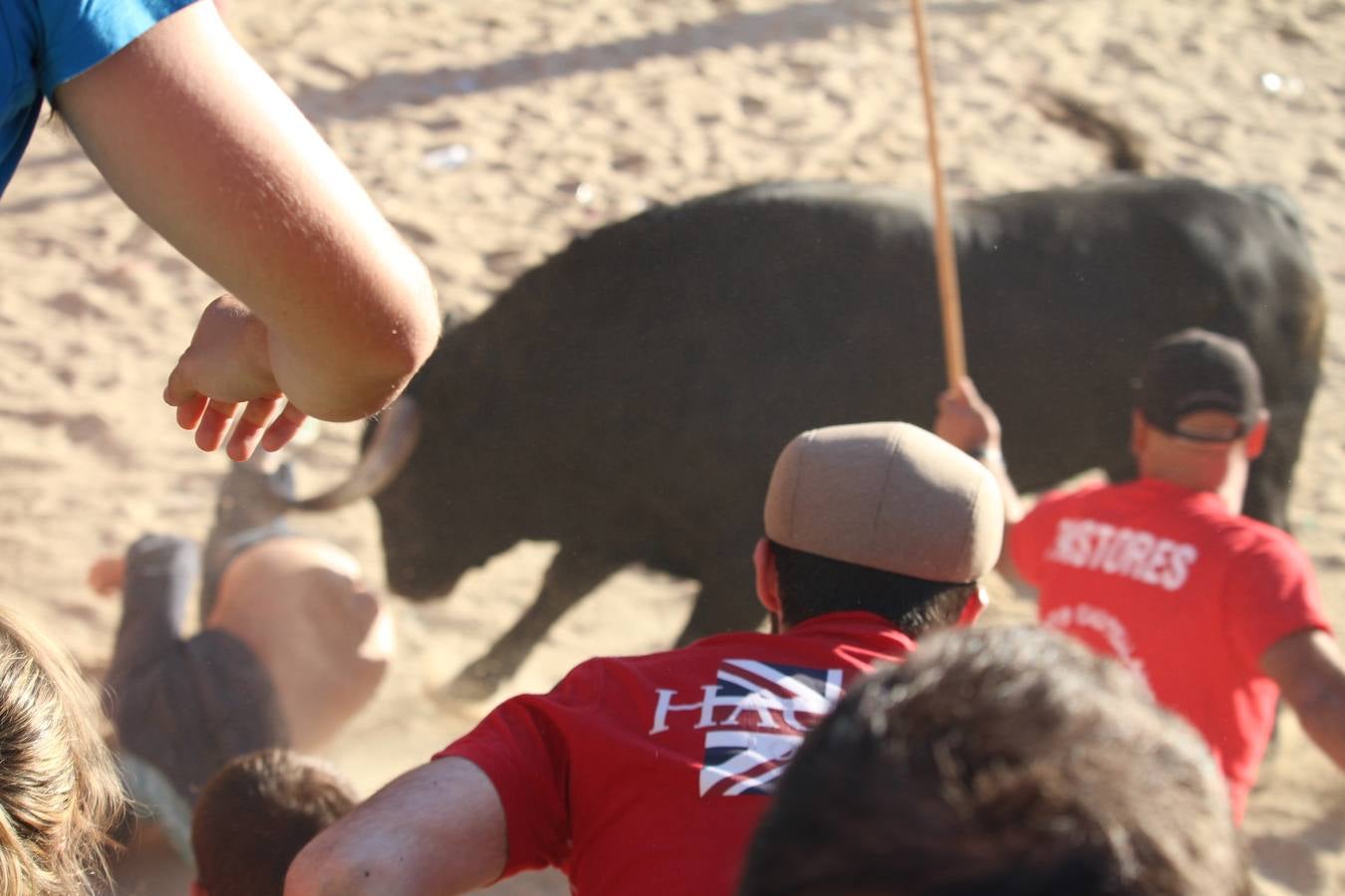 Una joven francesa herida grave al sufrir una cogida en Fuenteguinaldo