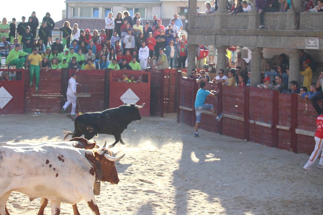 Una joven francesa herida grave al sufrir una cogida en Fuenteguinaldo