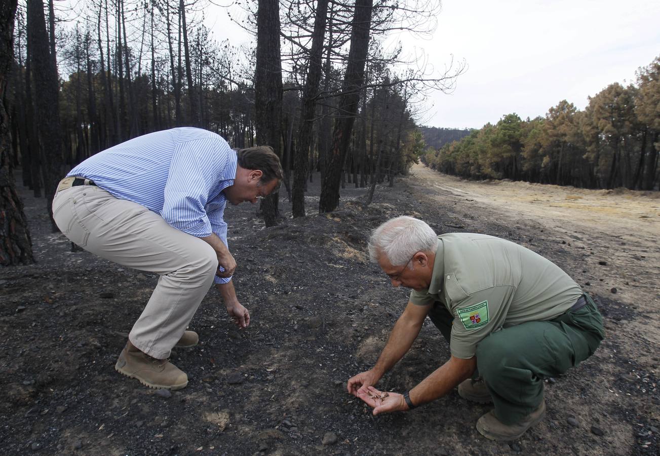 Segundo aniversario del incendio de Castrocontrigo