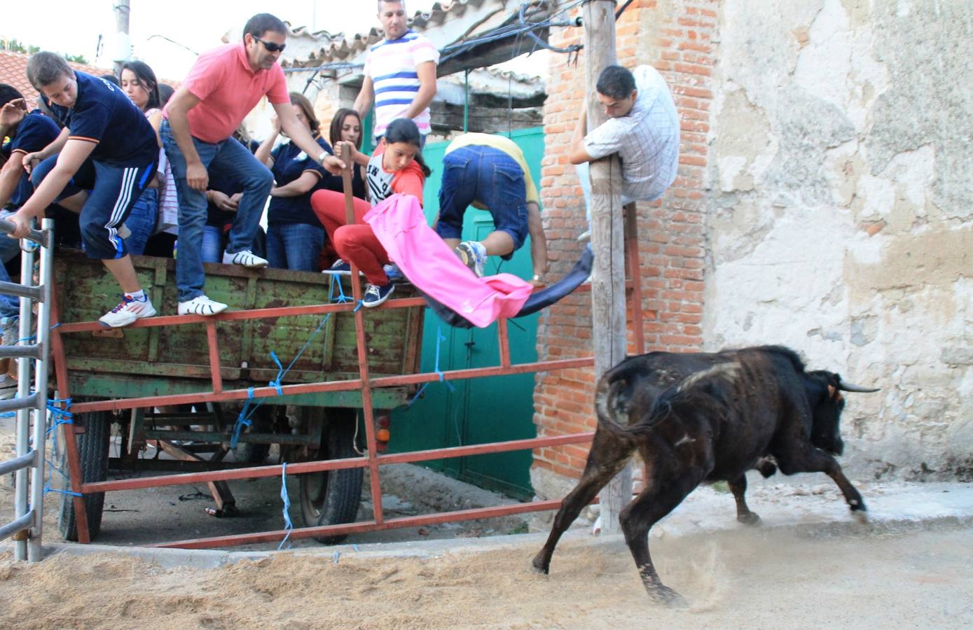 Primer encierro de las fiestas de Ciguñuela