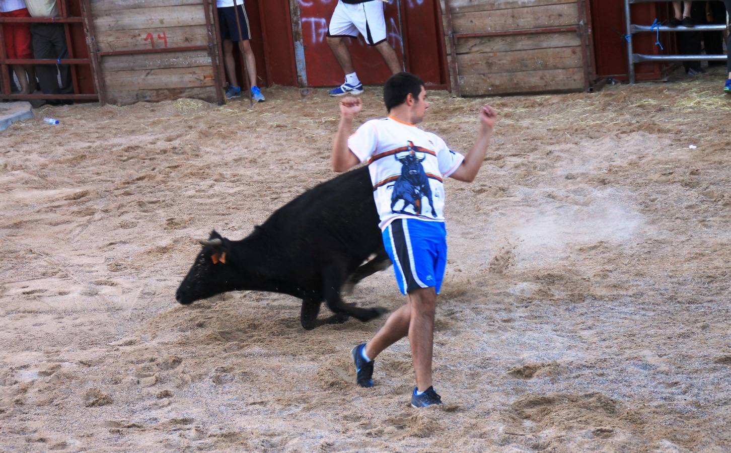 Primer encierro de las fiestas de Ciguñuela