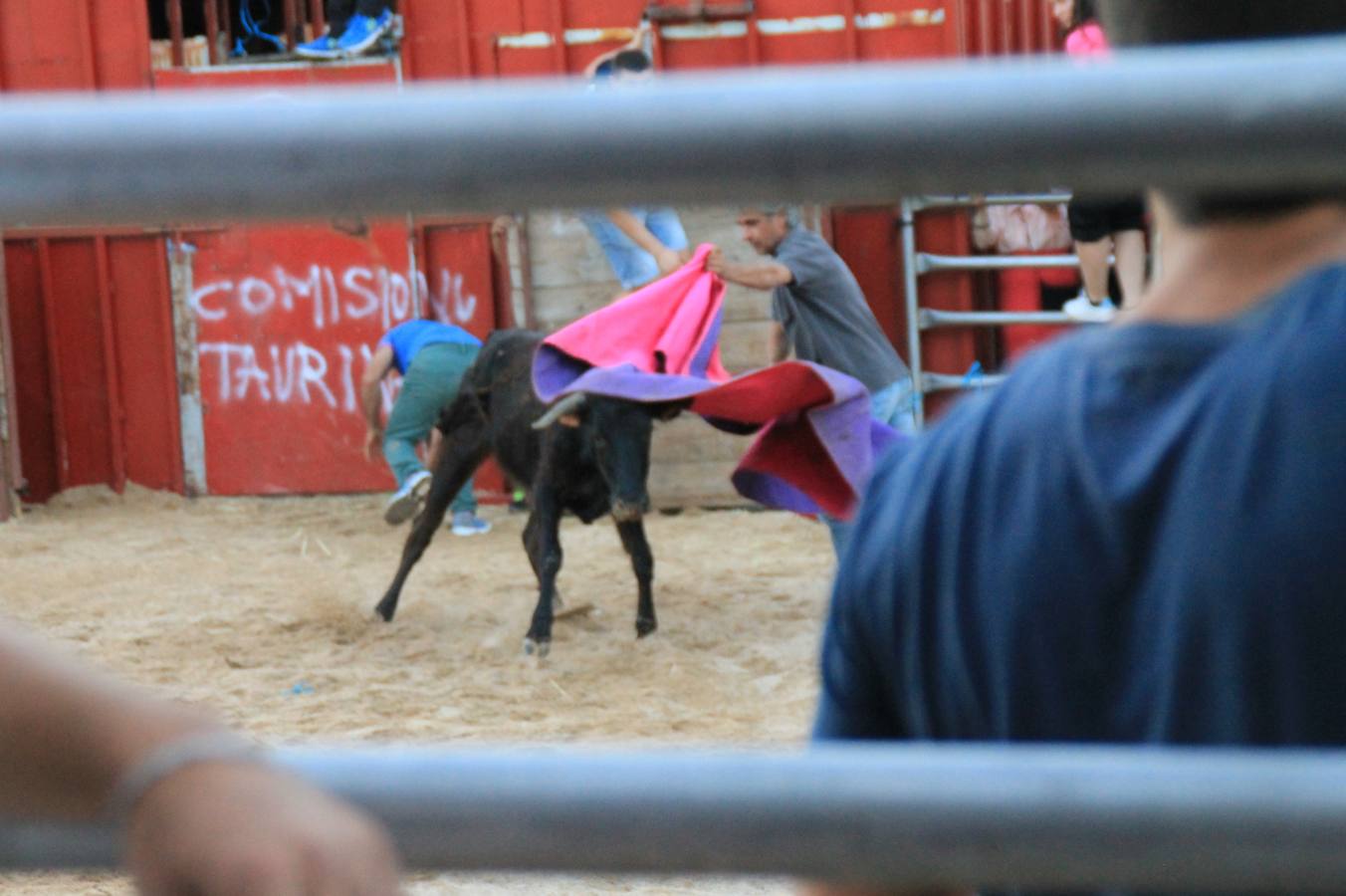 Primer encierro de las fiestas de Ciguñuela