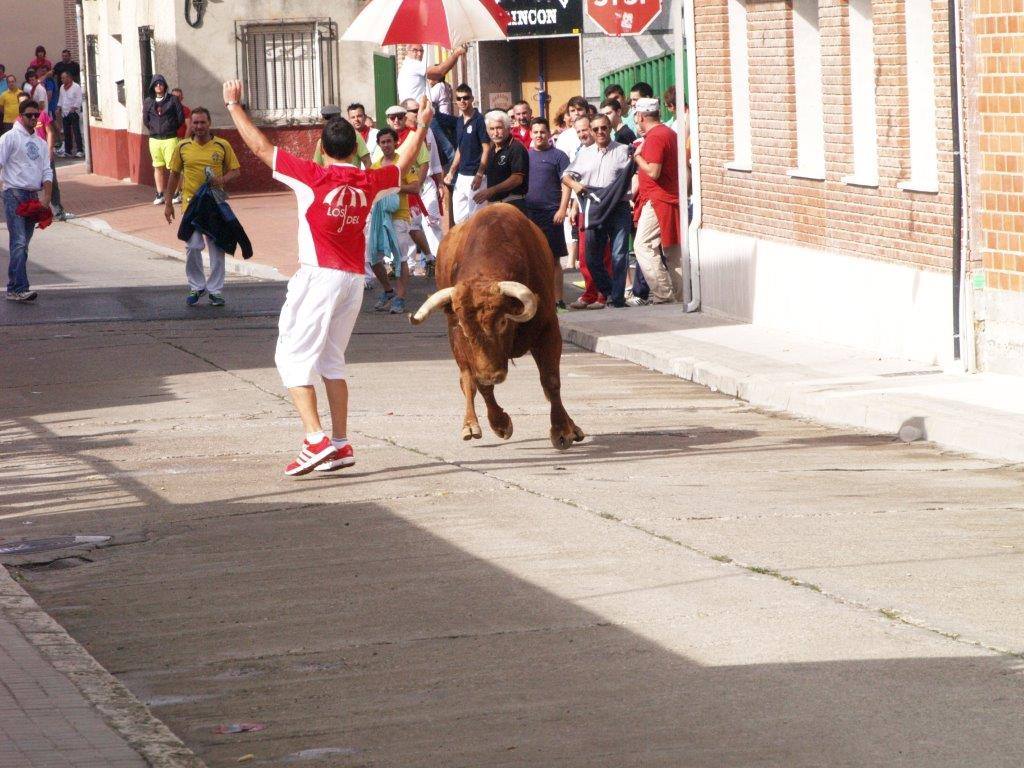 Tercer día de las fiestas de San Agustín en Pedrajas de San Esteban