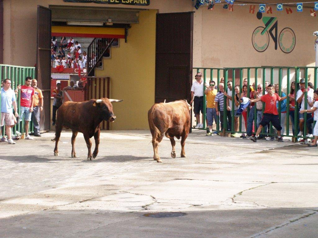 Tercer día de las fiestas de San Agustín en Pedrajas de San Esteban