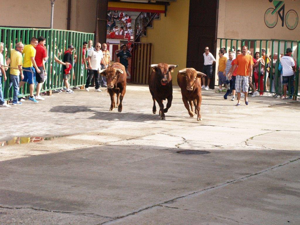 Tercer día de las fiestas de San Agustín en Pedrajas de San Esteban