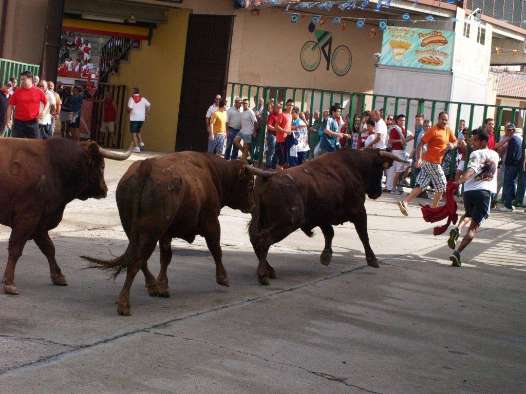 Tercer día de las fiestas de San Agustín en Pedrajas de San Esteban