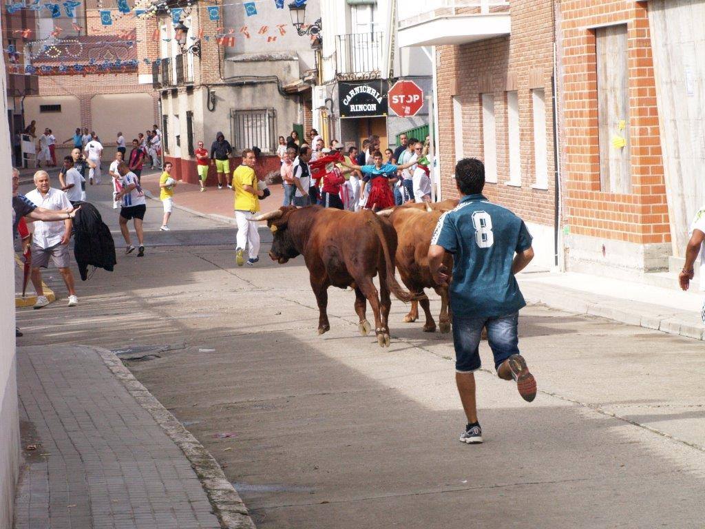 Tercer día de las fiestas de San Agustín en Pedrajas de San Esteban