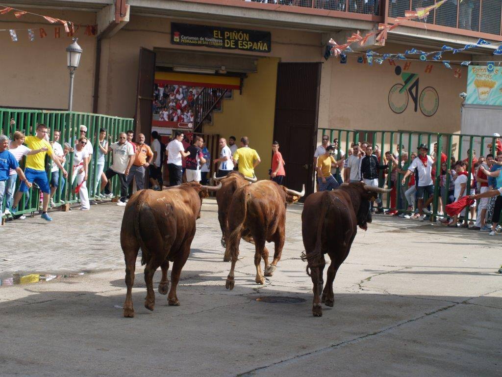 Tercer día de las fiestas de San Agustín en Pedrajas de San Esteban