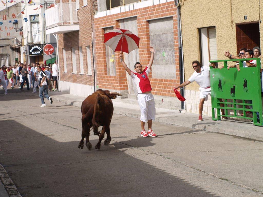 Tercer día de las fiestas de San Agustín en Pedrajas de San Esteban