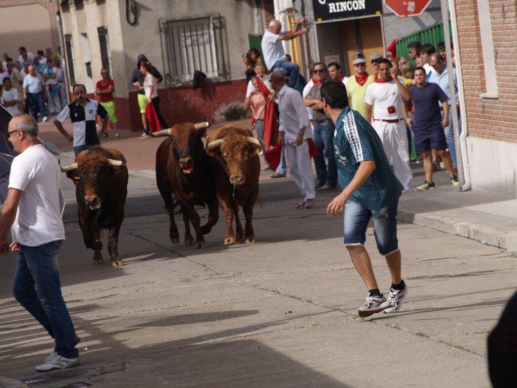 Tercer día de las fiestas de San Agustín en Pedrajas de San Esteban