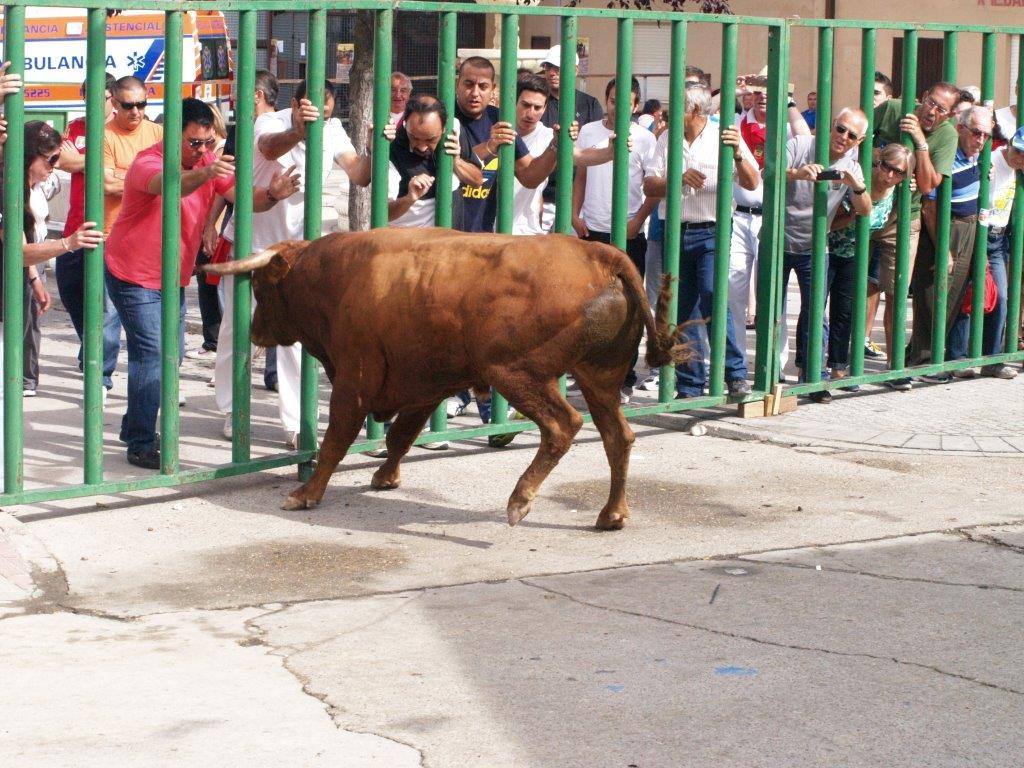 Tercer día de las fiestas de San Agustín en Pedrajas de San Esteban