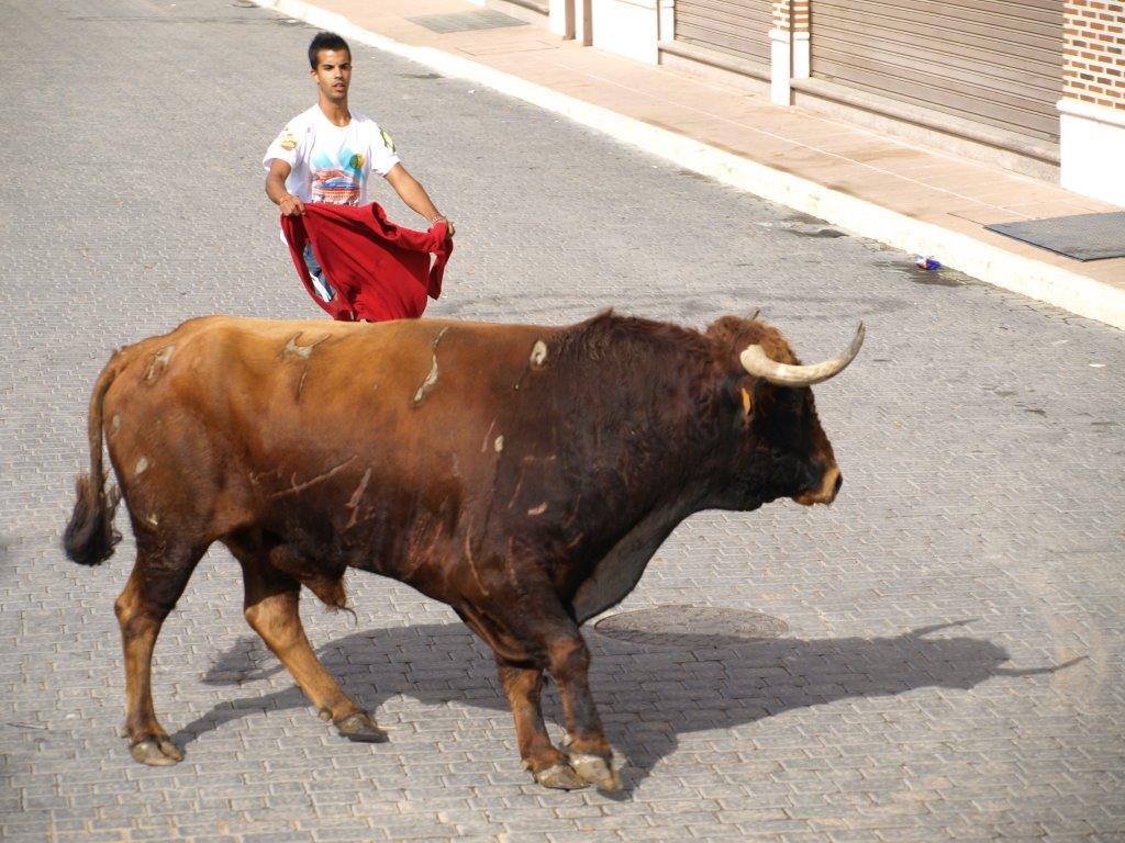 Tercer día de las fiestas de San Agustín en Pedrajas de San Esteban