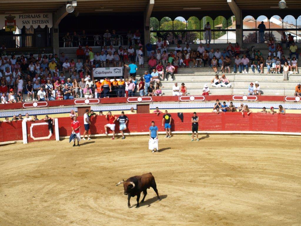 Tercer día de las fiestas de San Agustín en Pedrajas de San Esteban