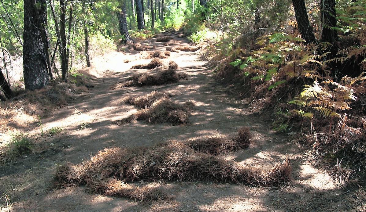 Arte efímero en El Collao de Herguijuela de la Sierra (Salamanca)