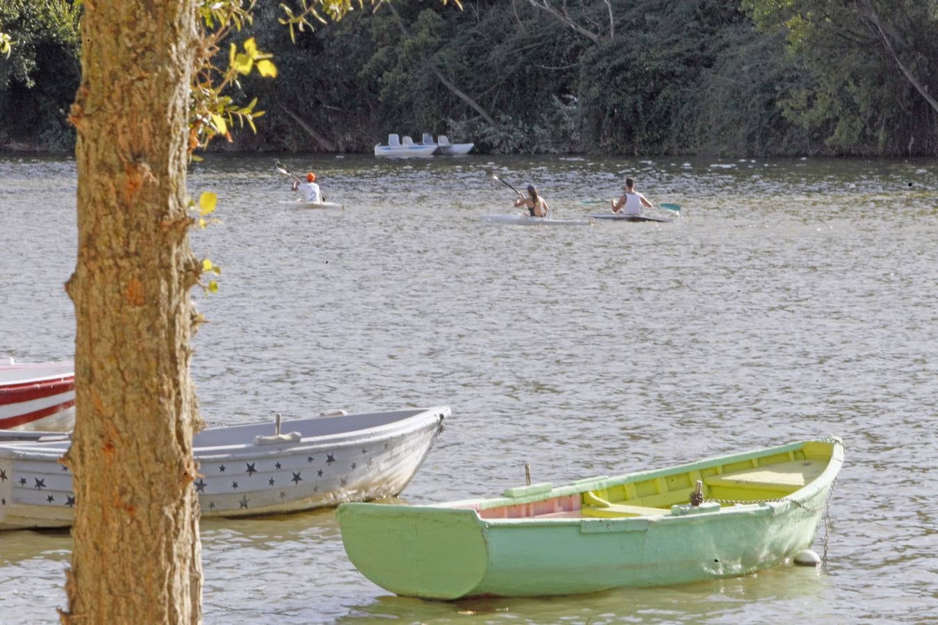 Concurso de regatas en Moreras