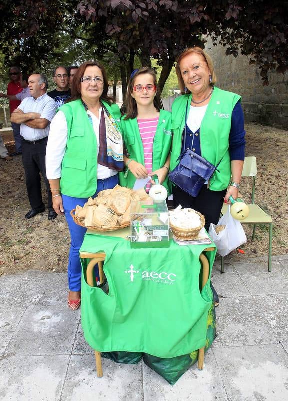 Romería de la Virgen de la Alconada en Ampudia. Palencia