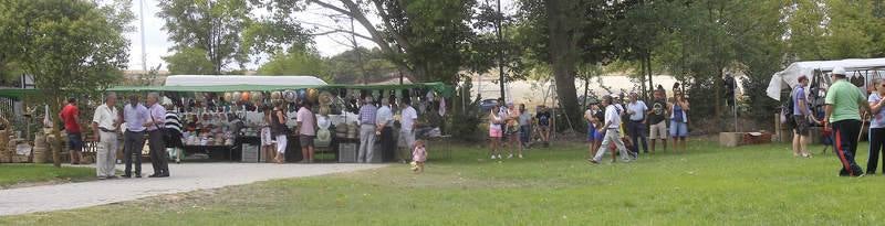 Romería de la Virgen de la Alconada en Ampudia. Palencia