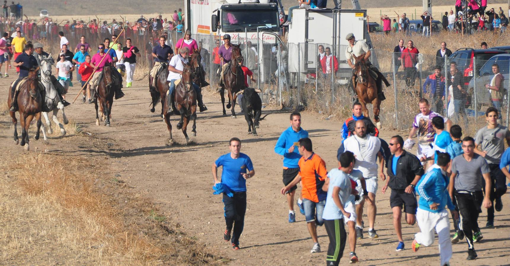 Último encierro de las fiestas de Medina del Campo