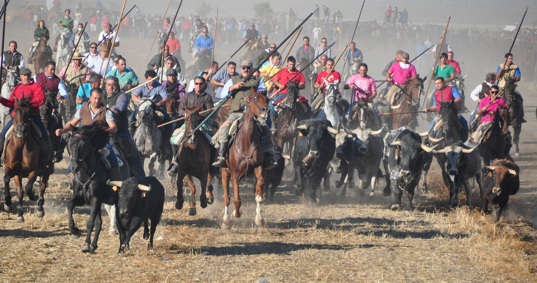 Último encierro de las fiestas de Medina del Campo