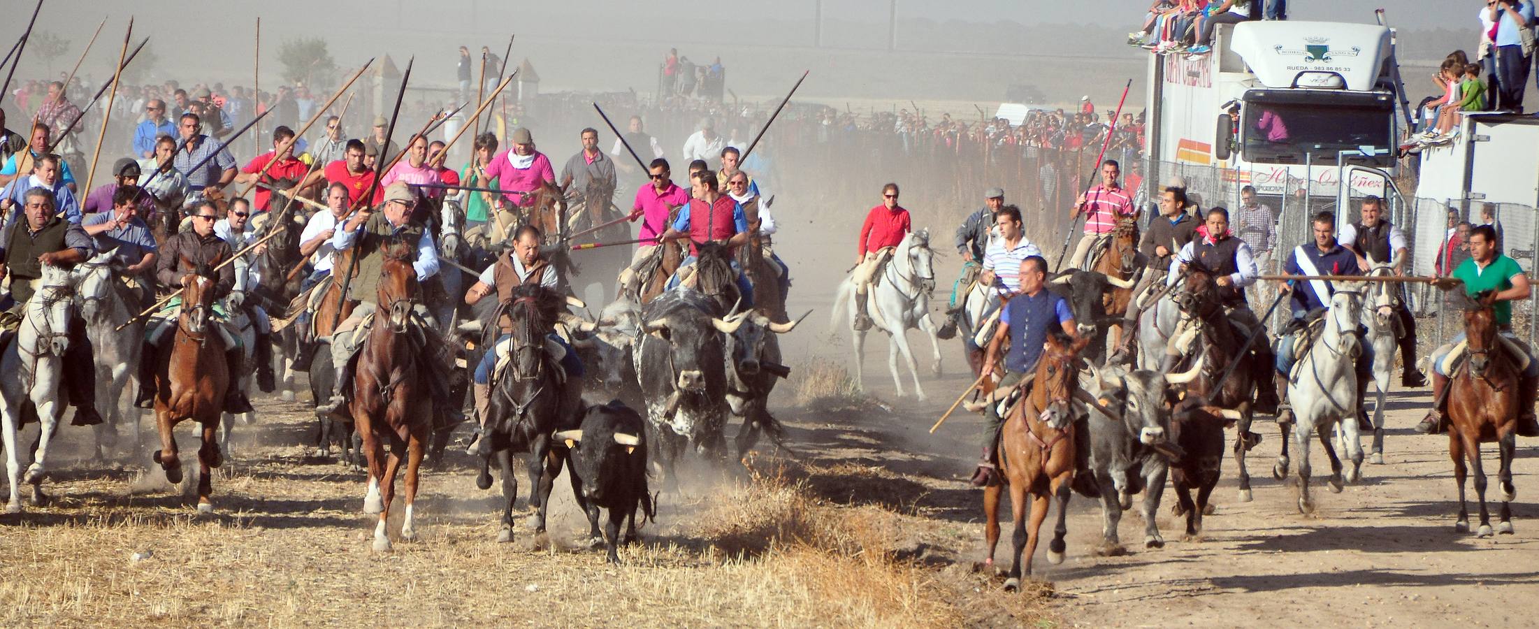 Último encierro de las fiestas de Medina del Campo