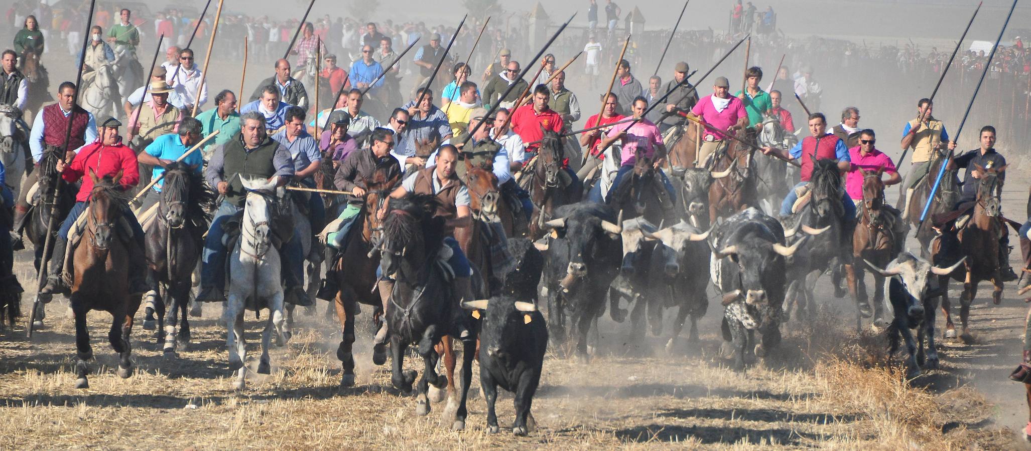 Último encierro de las fiestas de Medina del Campo