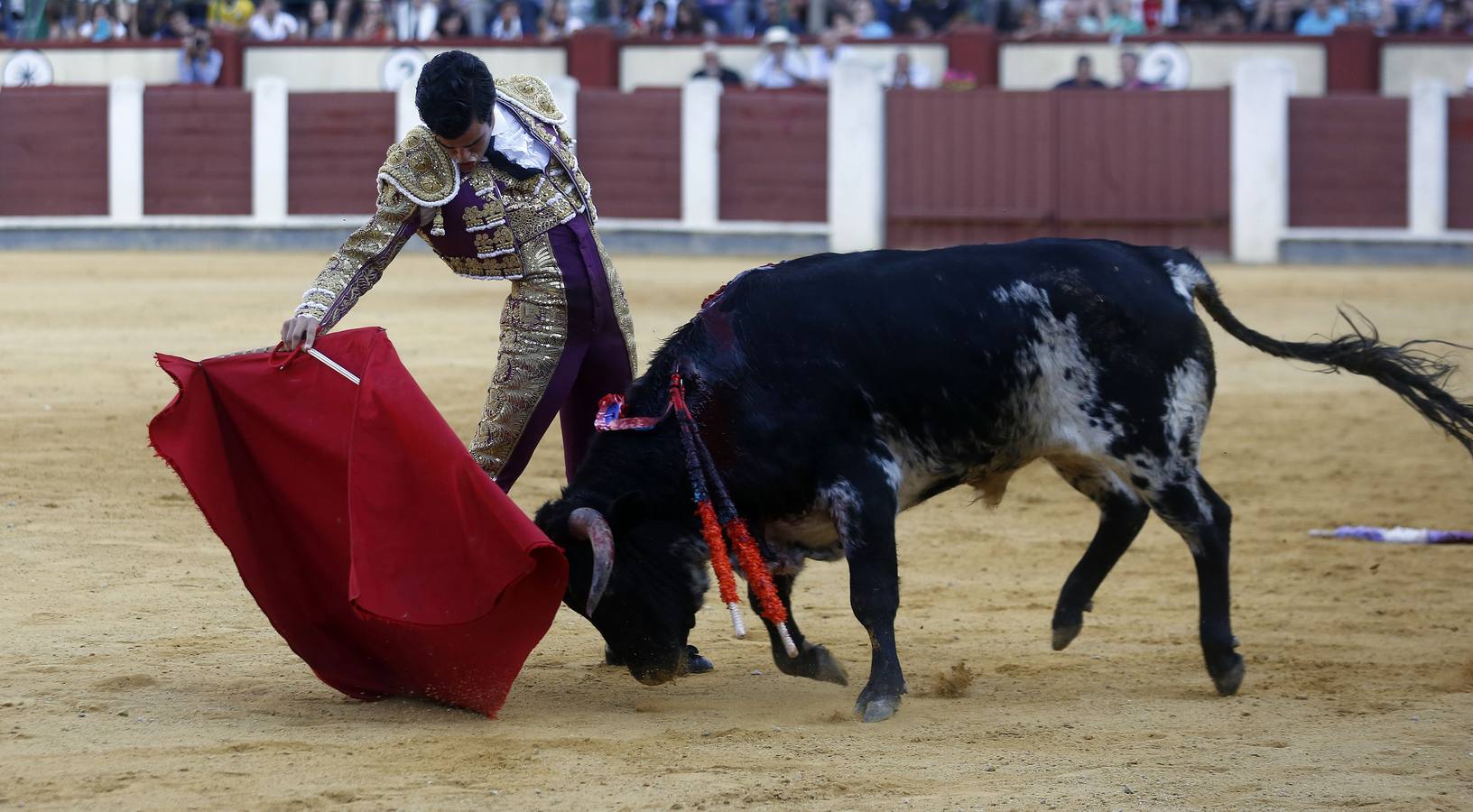 Novillada sin picadores en la Feria de Nuestra Señora de San Lorenzo de Valladolid