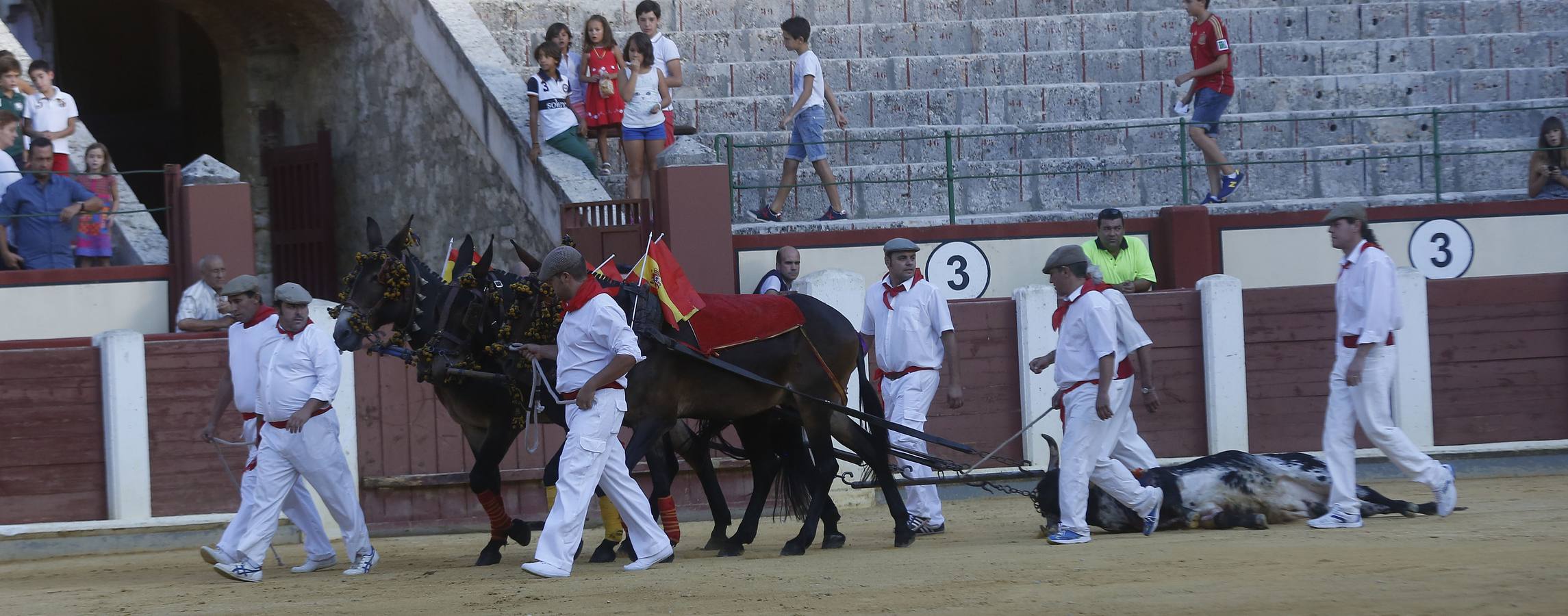 Novillada sin picadores en la Feria de Nuestra Señora de San Lorenzo de Valladolid