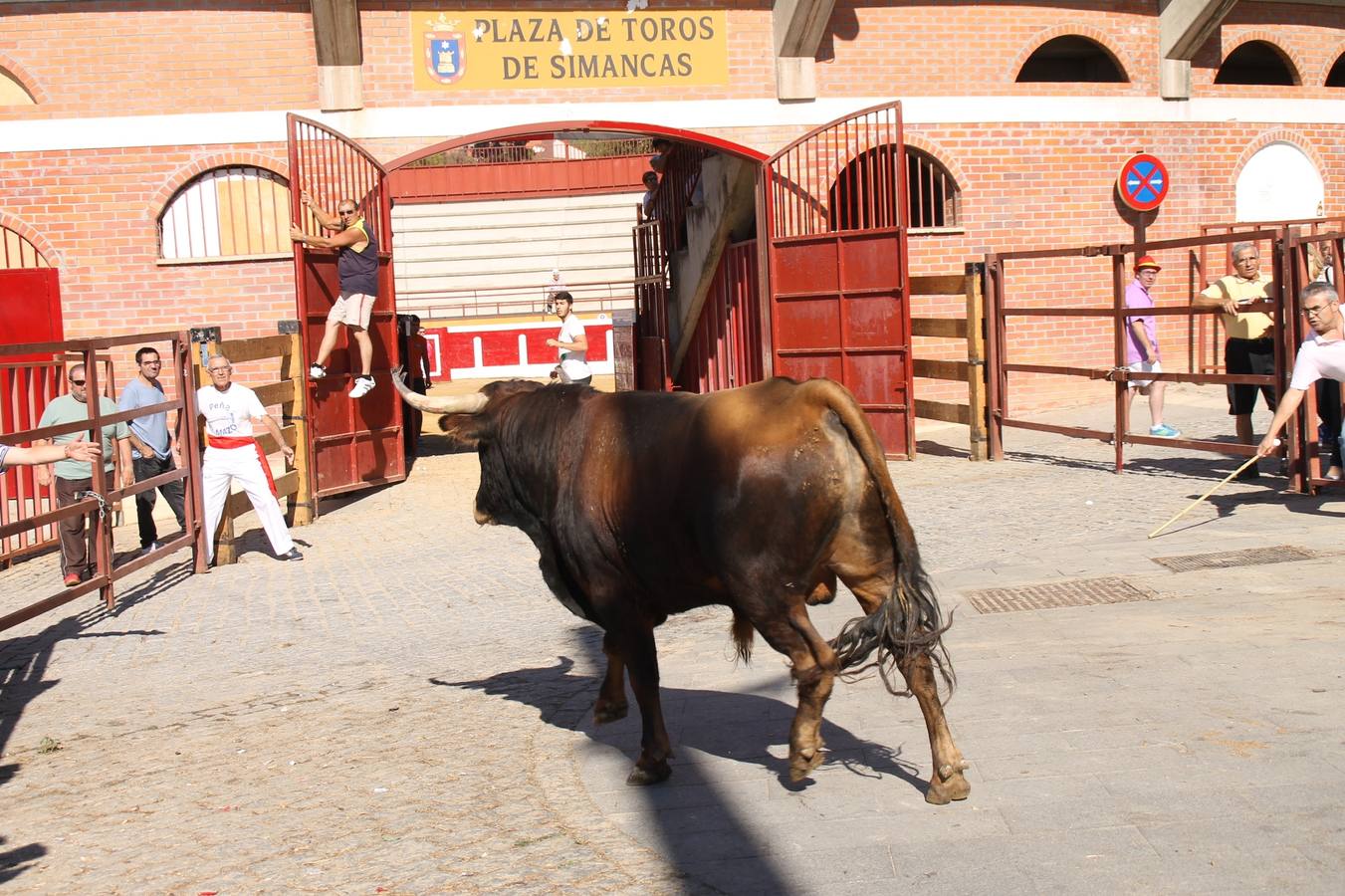 Cuarto encierro de las fiestas de Simancas