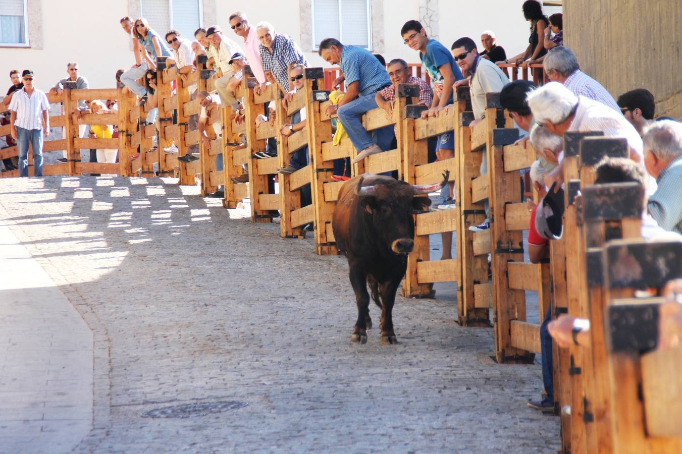 Cuarto encierro de las fiestas de Simancas