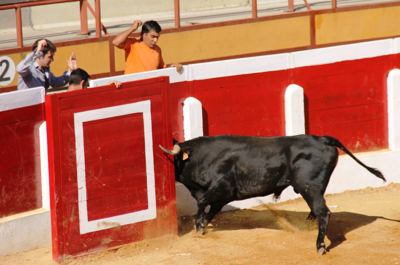 Cuarto encierro de las fiestas de Simancas