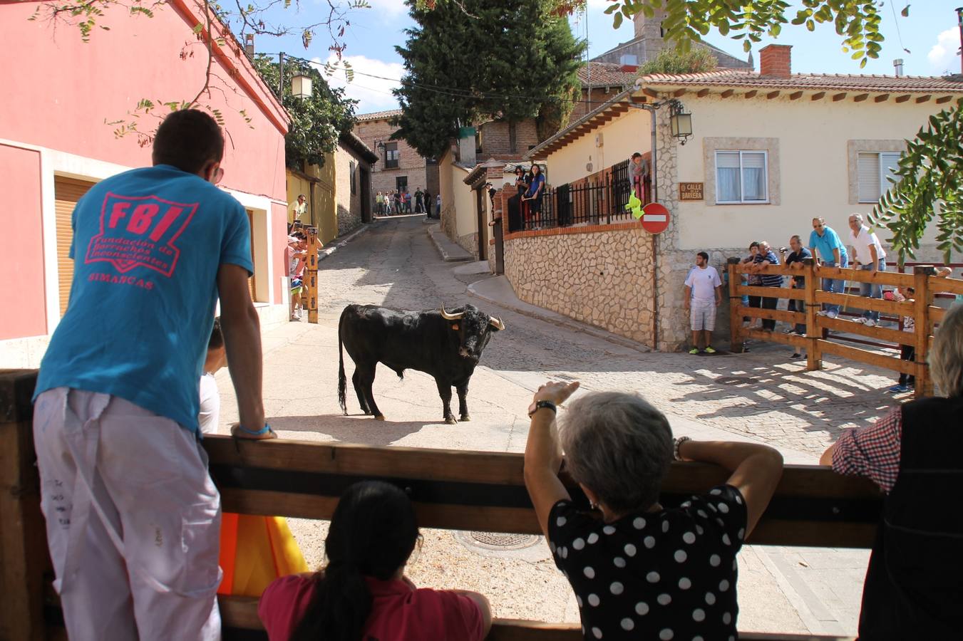 Último encierro de las fiestas de Simancas 2014