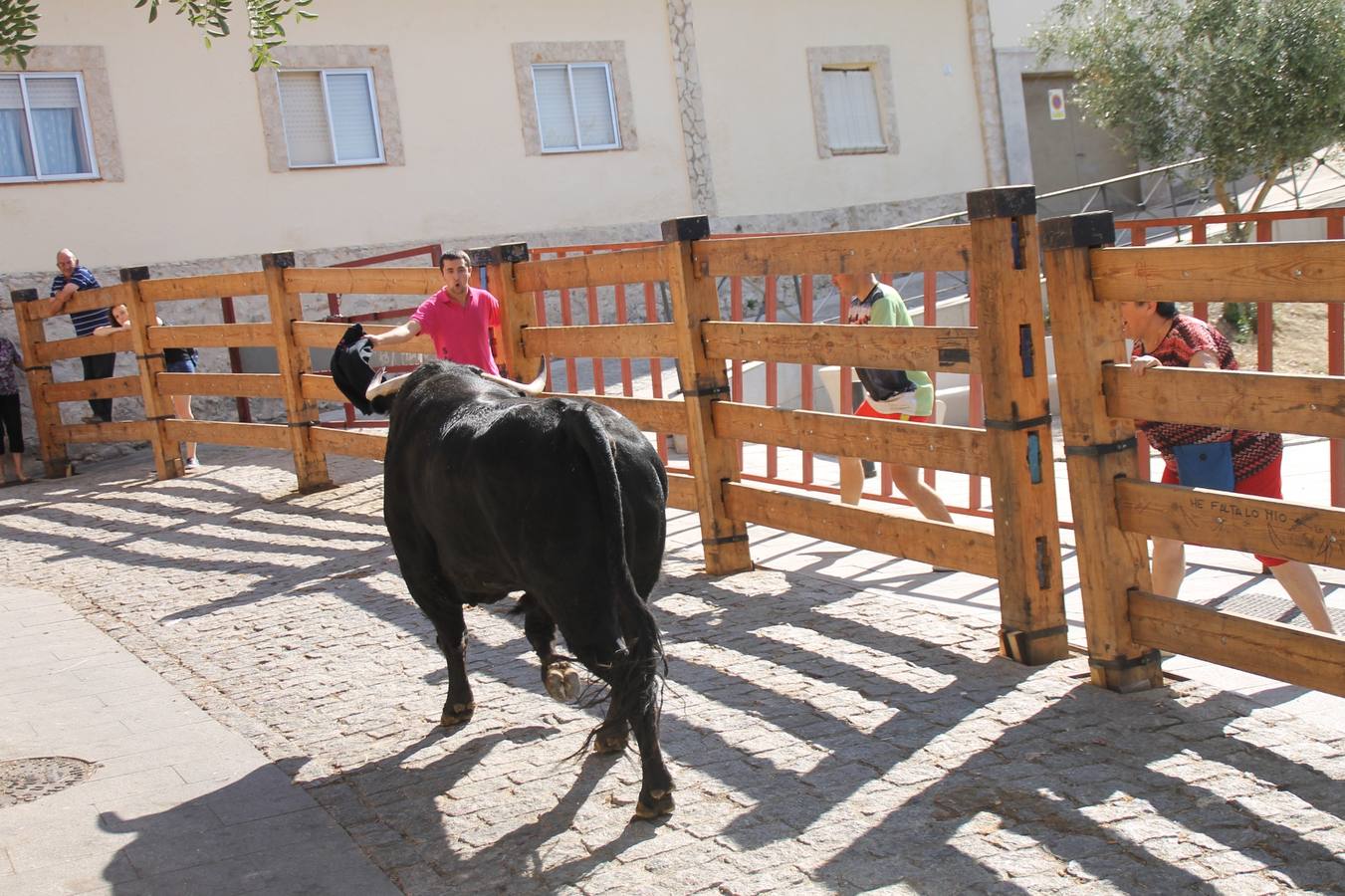 Último encierro de las fiestas de Simancas 2014