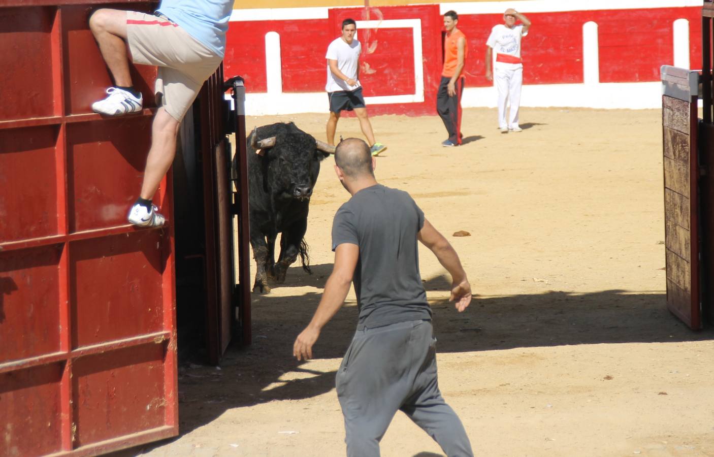 Último encierro de las fiestas de Simancas 2014