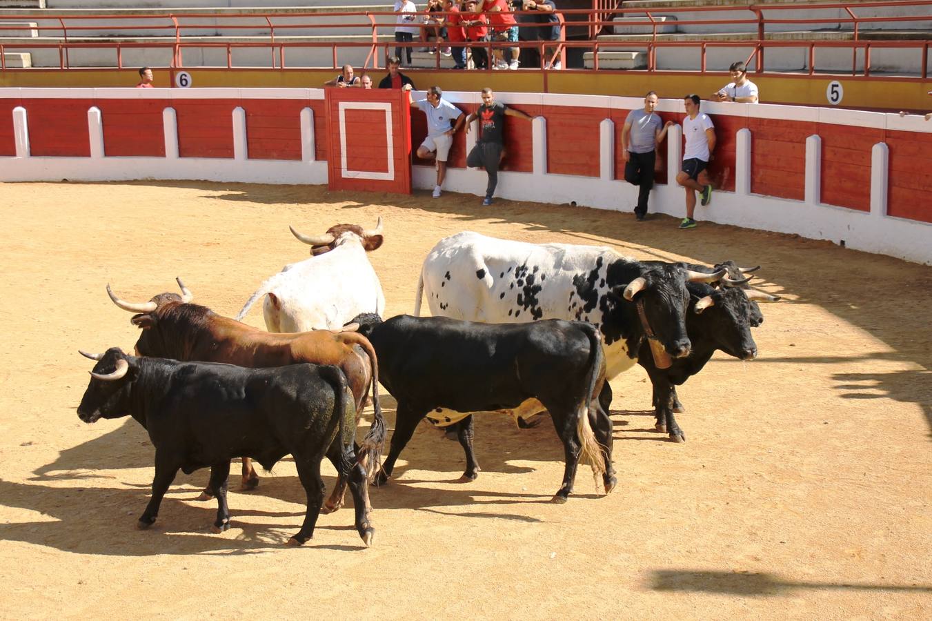 Último encierro de las fiestas de Simancas 2014