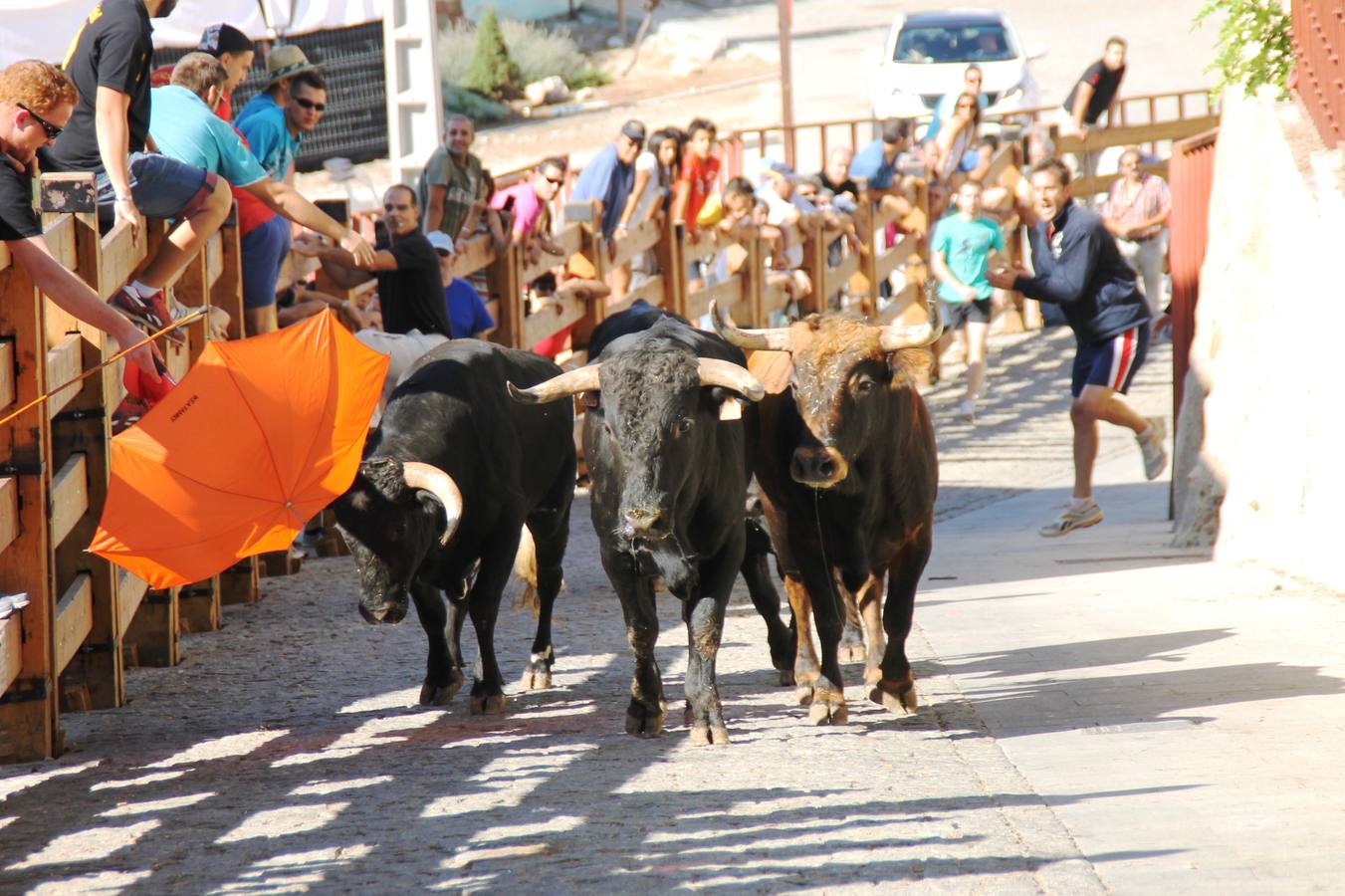 Último encierro de las fiestas de Simancas 2014