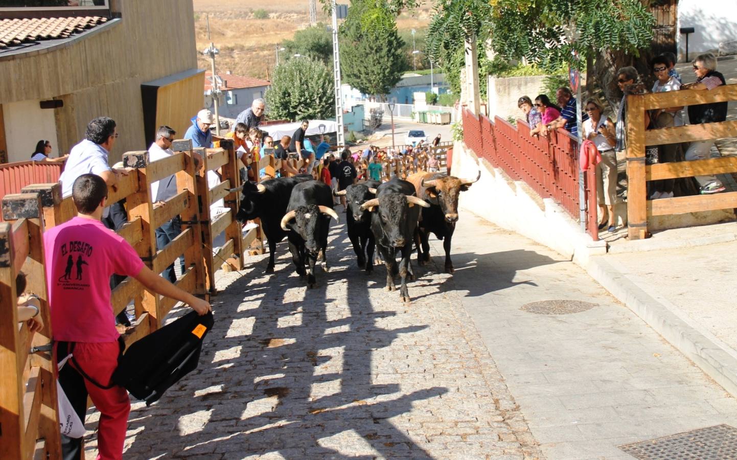 Último encierro de las fiestas de Simancas 2014