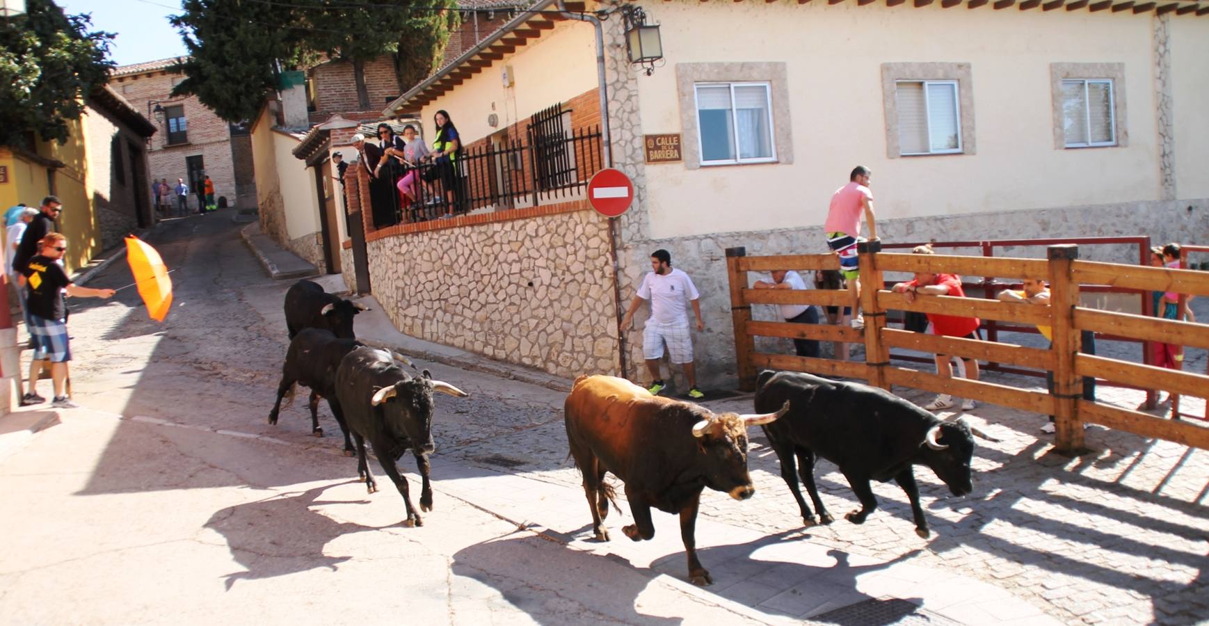 Último encierro de las fiestas de Simancas 2014
