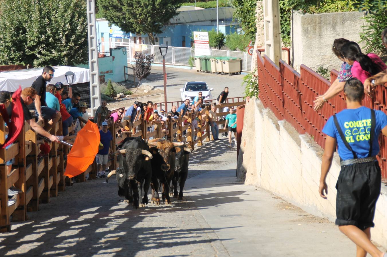 Último encierro de las fiestas de Simancas 2014