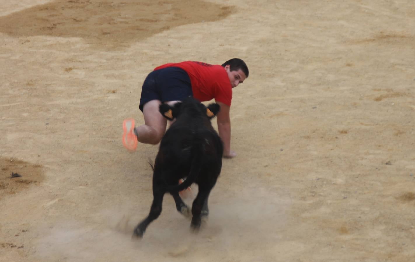 Gran Prix de peñas de las fiestas de Simancas 2014