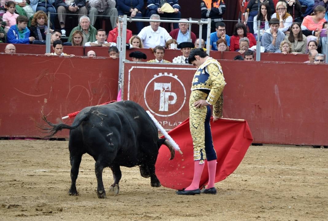 Toros en Villaviciosa de Odón