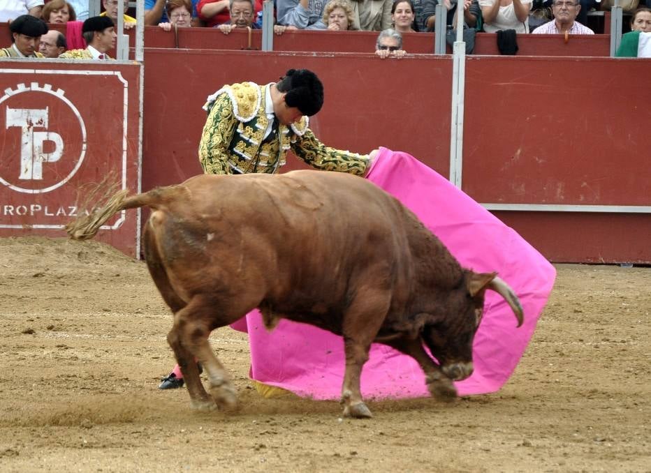 Toros en Villaviciosa de Odón