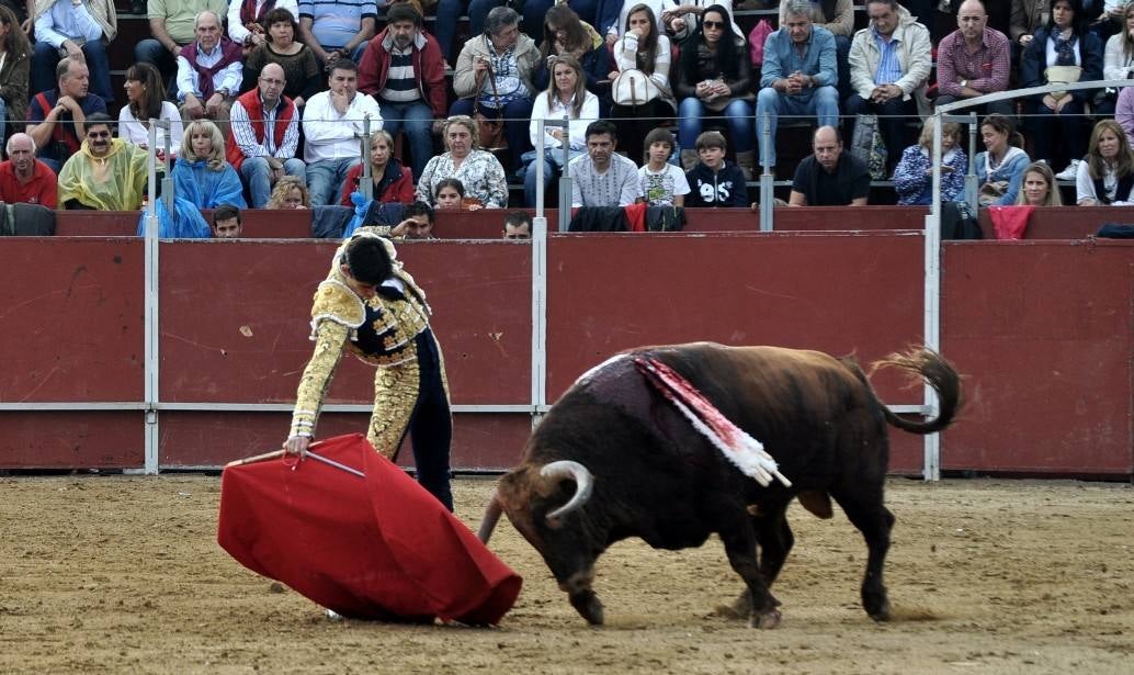 Toros en Villaviciosa de Odón
