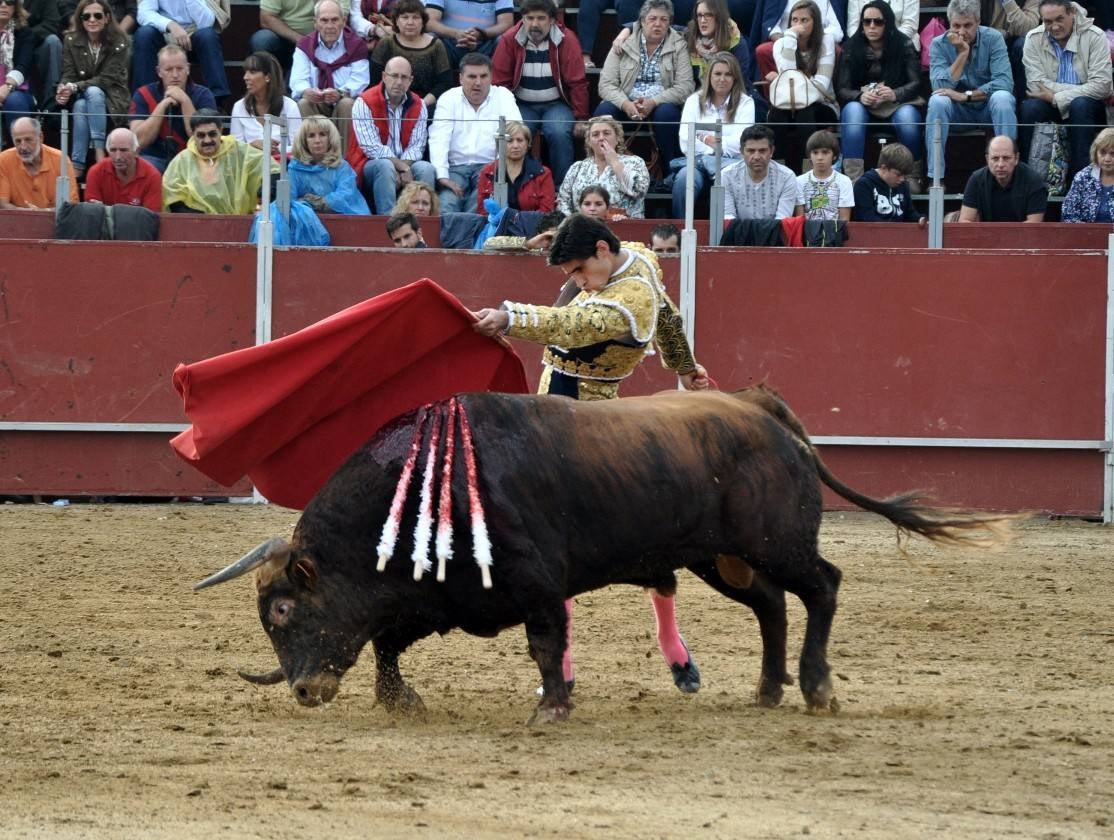 Toros en Villaviciosa de Odón