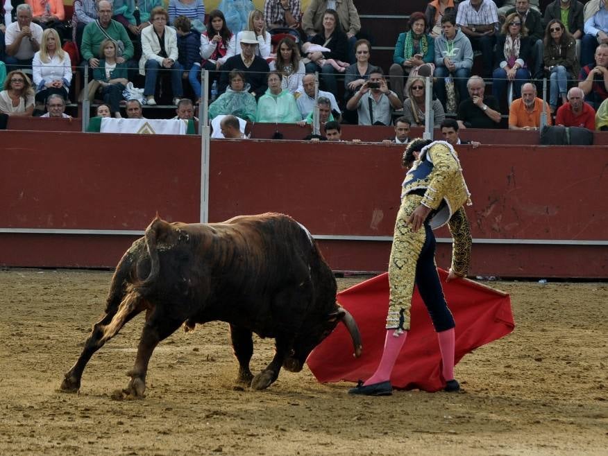 Toros en Villaviciosa de Odón