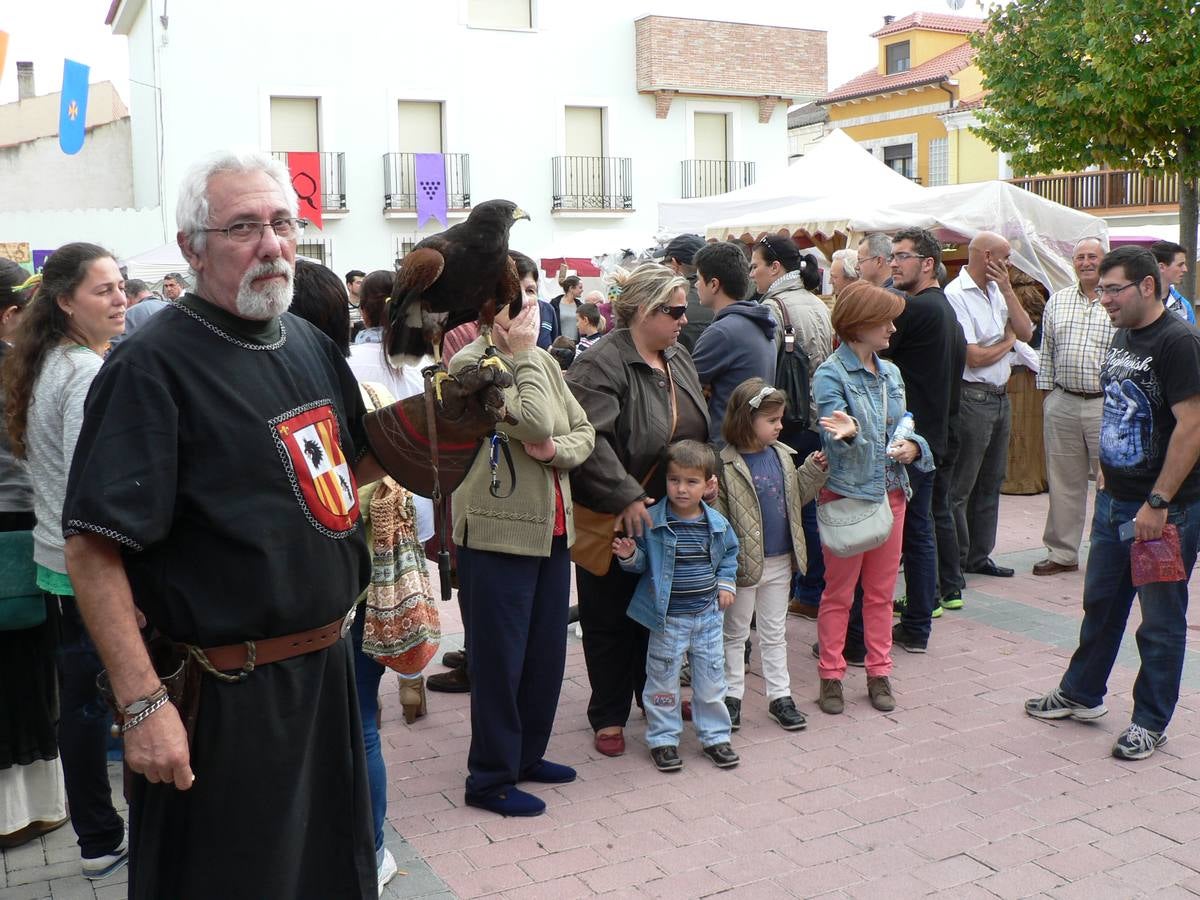 Mercado medieval y fiesta de la vendimia en Quintanilla de Onésimo