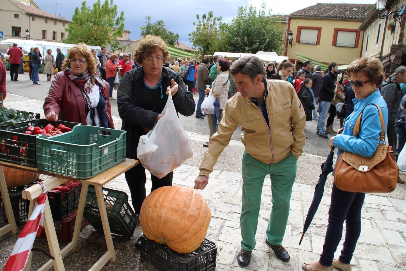 Feria de la cebolla en Palenzuela