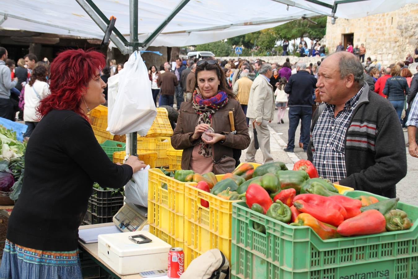 Feria de la cebolla en Palenzuela