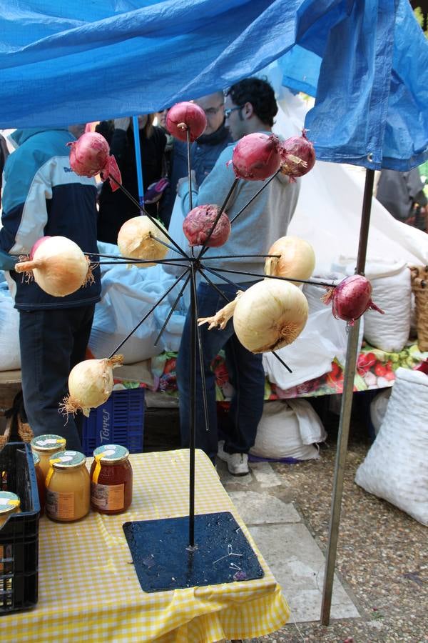 Feria de la cebolla en Palenzuela